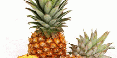 Pineapple Hardcore Corporation is the one name, which is