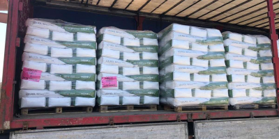 Sprzedajemy certyfikowane nasiona konopi USO-31