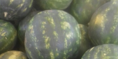 Watermelons exported from Greece ... we match the order