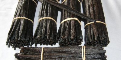 Top quality black vanilla beans of the world, famous