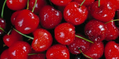 We are selling RED cherry as well as Black