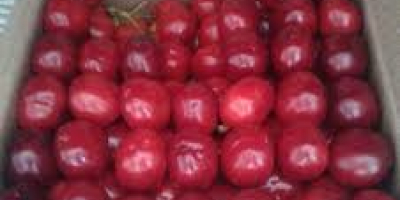 We are selling RED cherry as well as Black