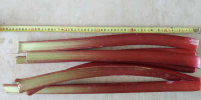 I will sell raspberry rhubarb, I&#39;m interested in retail