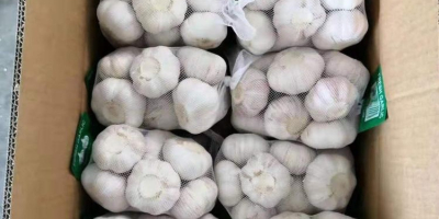 We sell garlic - 15 tons. Delivery is included