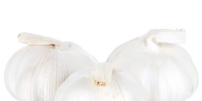 We sell garlic - 15 tons. Delivery is included