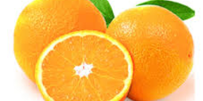 We are oranges producers in Southern Greece with the