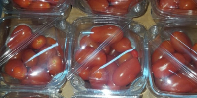 We are looking for regular recipients of tomato. We