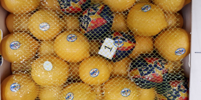 Venderé limones españoles, variedad Primofiori, clase 1, calibres: 2,3,4,5