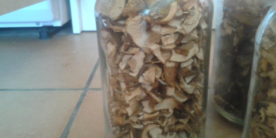 for sale mushrooms boletus edulis dried from the 2017