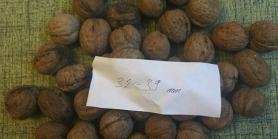Ние продаваме орехи от Украйна. Можем да сложим гайката