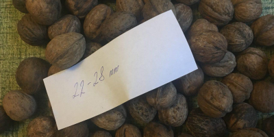 Ние продаваме орехи от Украйна. Можем да сложим гайката
