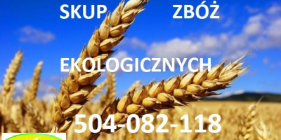 I will buy conventional and ecological cereals: rye, triticale,