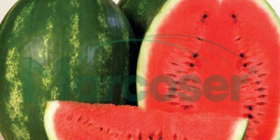 Vand melon soi karistan. For details do not hesitate