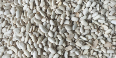 I am selling selected beans, white beans the price