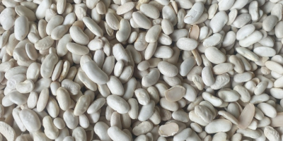 I am selling selected beans, white beans the price