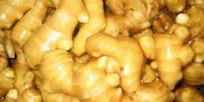 We sell Fresh Ginger ,washed and Air dry ginger.
