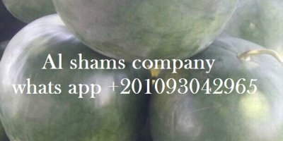 (ALshams company for general import & export ) Offering