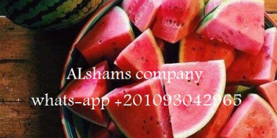 (ALshams Unternehmen für den allgemeinen Import und Export) Angebot