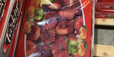 Wir bieten exotisches Obst und Gemüse (ganzjährig erhältlich): Pfirsiche,