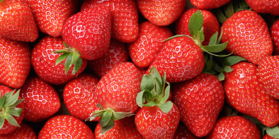 Hello. I can offer different varieties of high-quality strawberries.
