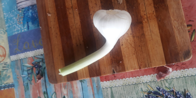 Romanian garlic.