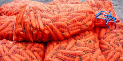 I will buy ☛ Carrots, market quality, truck quantities.
