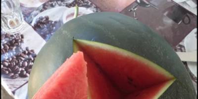 Es wird in großen und kleinen Mengen verkauft. Wassermelonen