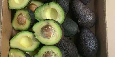 Avocado HASS for sale retail / wholesale. Possible delivery