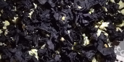I will sell a dried black mallow flower