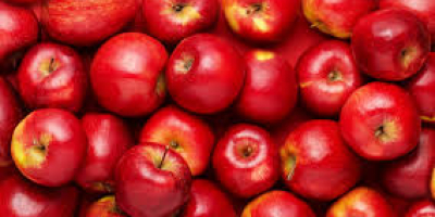 fresh nice apple with beautiful aroma available at very