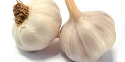 I will sell harnaś garlic and mega heads of