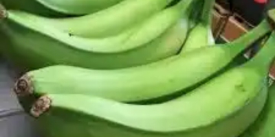 1 € per pieces of plantain, packed in 50kg