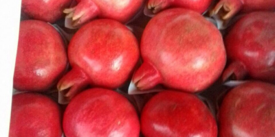 We sell pomegranates! All questions in WhatsApp! Delicious!