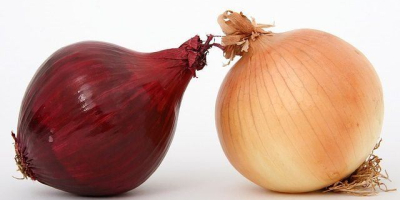 Red and white onions from Greece Thessalia produce by