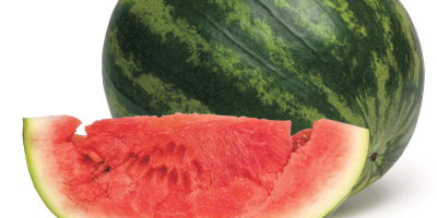 Produktname Wassermelone Herkunft Südafrika Farbe Grün Form Langer runder