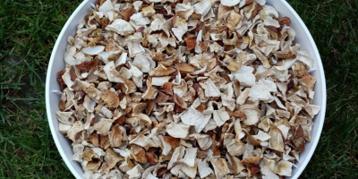 Hello. I will sell dried porcini mushrooms. Price for