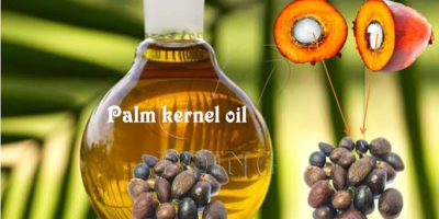 Quality palm kernel oil and cake feed for sell