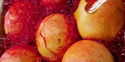 Pomegranates from Spanish producers, Mollar variety (very soft seeds),