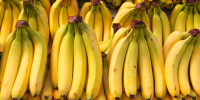 We export according to your need the Green bananas