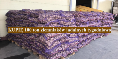I will buy 100 tons of edible potatoes a