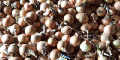 Hello, I am selling yellow onion, loose or packed