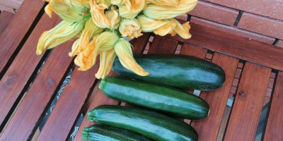 I will sell courgettes, I can sort about 500