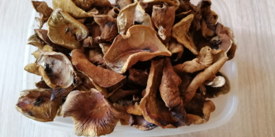 I will sell dried porcini mushrooms and buttermilk. Harvest
