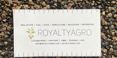 LLC Royalti Agro offers buckwheat of the Altai Territory,
