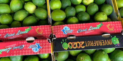 Lime 4 kg price depends on the situation on