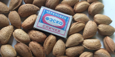Sweet almonds in shell, grade Guara, 10 tons, in