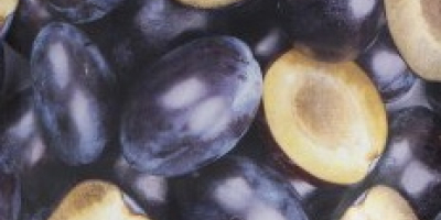 PRUNE USCATE STANLEY Dried plums
