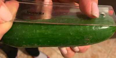 SUPER RHINO variety cucumber for sale, size 10-12 cm,