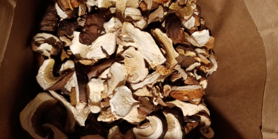 I will sell dried mushrooms. Boletus 180 PLN per