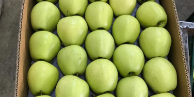 Sales of different varieties of apples from Turkey began,